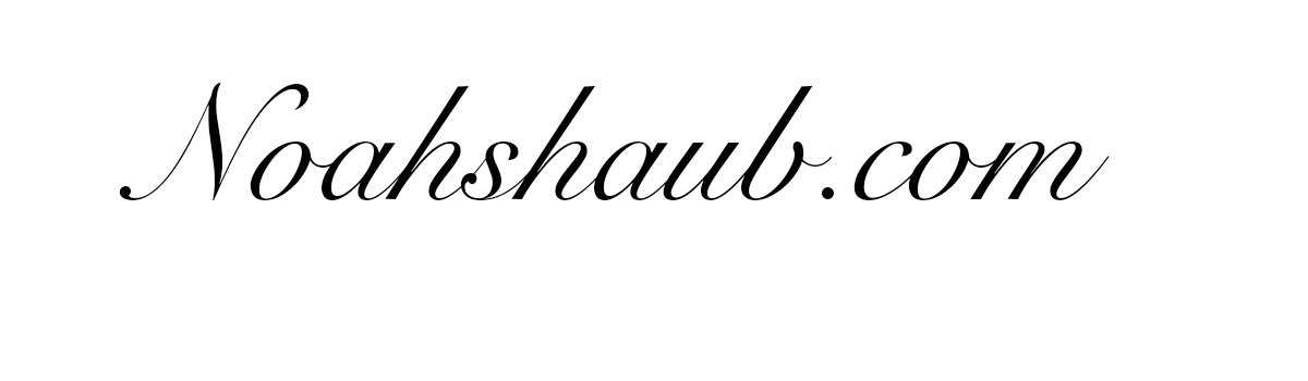 Noah Shaub